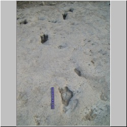 100_0393 (2009-26-07).JPG